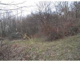 $30,000
Double lot, Great investment * www.sellitw...