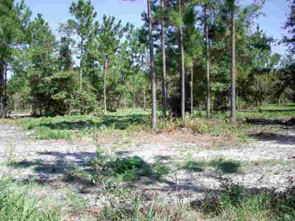 $30,000
Ludowici, OVER 2 ACRES CLEARED AND READY FOR YOUR NEW HOME.