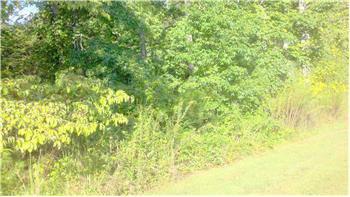 $30,000
Residential Lot in Miller's Farm, Pickens County GA. 1.02-Acres.