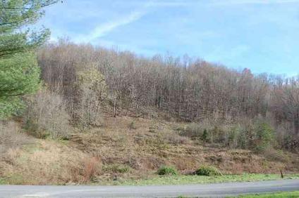 $30,000
Rose Hill, #2291 - , VA - THIS IS THE PERFECT TRACT OF LAND