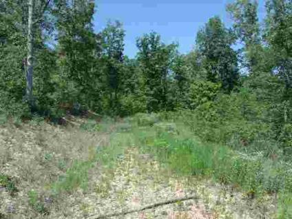 $31,500
This is a nice tract of land that joins the new Highway 67 just south of
