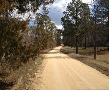 $320,705
Timber and Hunting Land