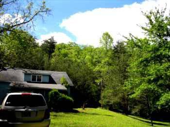 $324,000
17 Acres of Gentle Wooded Hill, 1000' Usfs Frontage
