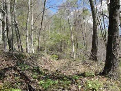 $32,000
$32000- 14.715 acres of Hilltop Woods near Stillwater, OH