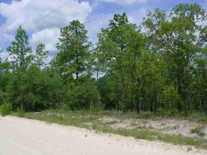 $32,000
Morriston, WOODED 5 ACRE PARCEL IN A DESIRABLE NEIGHBORHOOD