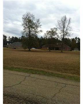 $32,000
Ponchatoula, Large lot to build your dream home in this