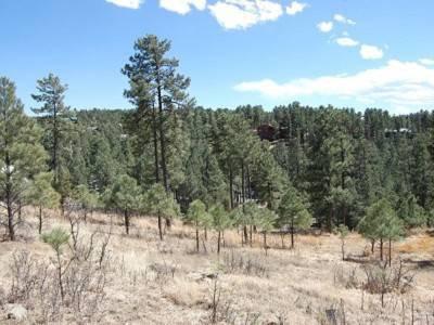 $32,500
Buildable Lot with views - call Bob [phone removed]
