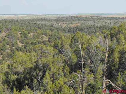 $32,500
Dove Creek Real Estate Land for Sale. $32,500 - BONNIE LEIGHTON of