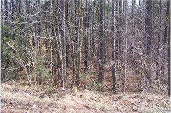 $32,900
Cleared lot ready for your dream home