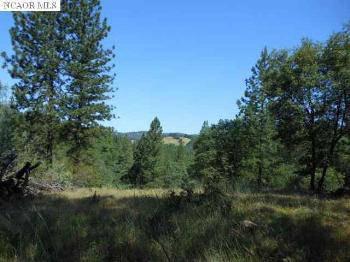 $335,000
Grass Valley, Build your dream home on the enchanting oak