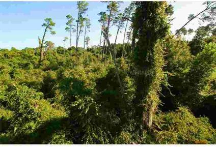 $335,000
Palm Harbor, Rare find 2-acres of undeveloped land in the