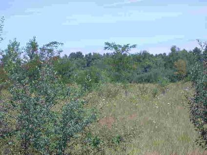 $33,000
Gladwin, Beautiful 25 acres with road frontage on both Hilts