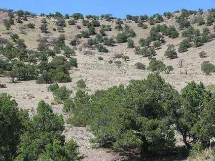 $33,000
Saguache, 42+ acre piece of land next to BLM with views