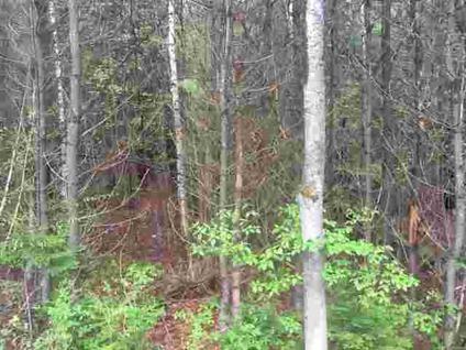 $33,000
Saint Johnsville, 22+ Acre parcel to be split from the