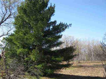 $33,900
Kalkaska, 20 wooded acres with state land on 3 sides.