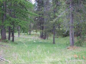 $33,900
Marion, $33,900 Great price 1.41 acre tree covered lot with