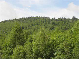 $340,000
532.000000 acres of land for sale in Kirby, Vermont, United States