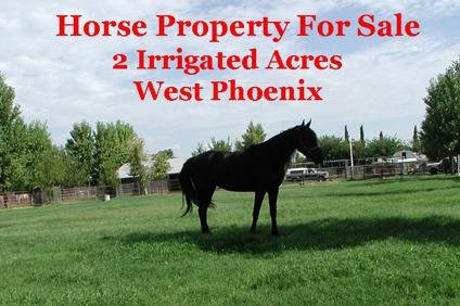 $340,000
Arizona Horse Property for Sale Irrigated 2 Acres Farm Properties