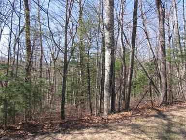 $34,000
Holly Forest II - Lot 40