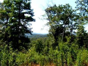 $34,900
12204- Build Your Mountain Home Here...