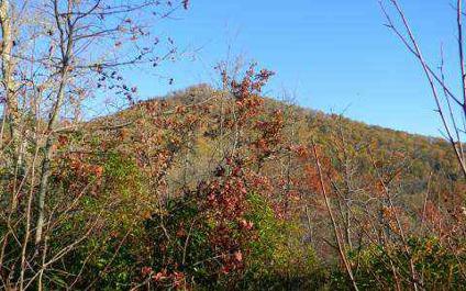 $34,900
Hayesville, A LOT WITH OPTIONS AND ACREAGE AND VIEWS!!
