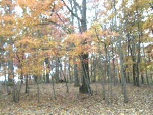 $34,900
Moneta, Bank Owned Lot with a Drastically Reduced Price.