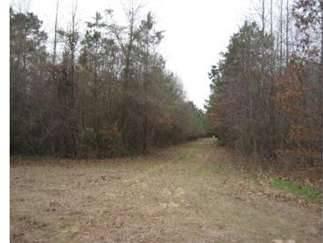 $355,000
71.0000 acres of land for sale in Plain Dealing, Louisiana, United States