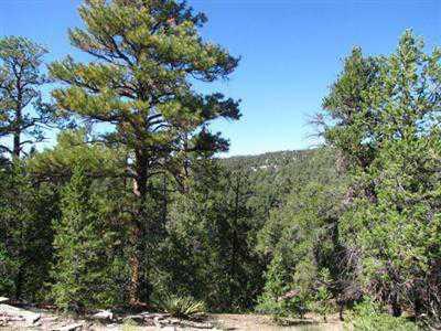 $35,000
Ramah Real Estate Land for Sale. $35,000 - Nancy A Dobbs of [url removed]