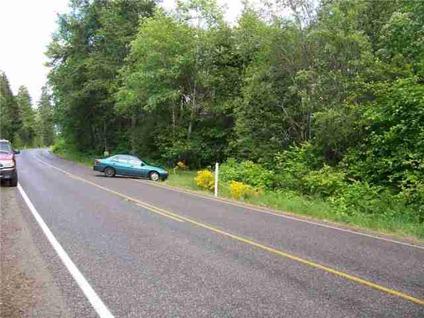 $35,000
Shelton, Two Parcels! RESTRICTION FREE (ok for mobile home