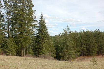 $363,500
Wooded Acreage Overlooking Deary Idaho