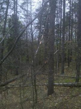 $36,000
Fenton, Beautiful wooded build site in gorgeous sub.
