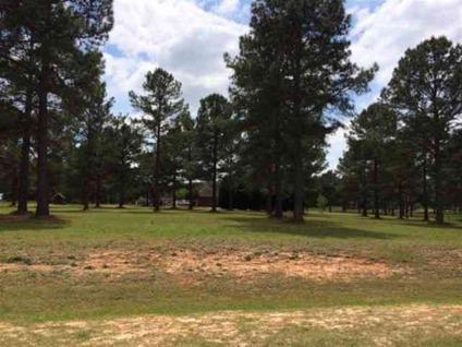 $36,000
Level 2 Acre Lot with Pine Trees in Neighborhood of Brick Homes.