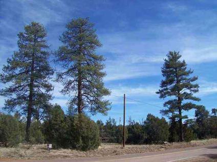 $38,500
Overgaard, Hard to find acre home site loaded with trees!