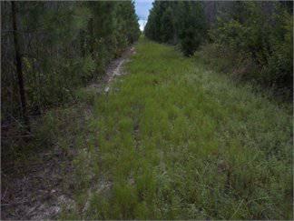 $394,100
112.600000 acres of land for sale in Allendale, South Carolina, United States