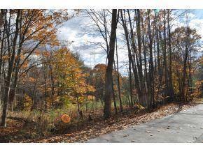 $39,000
Antrim, Nice building lot with creek that runs along the