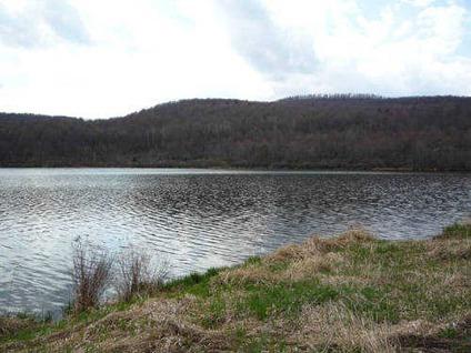 $39,000
Catskills Lake front land