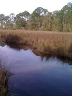 $39,000
Ocean Springs, WOODED LOT FRONTING BAYOU.DIMENTIONS: 75' X