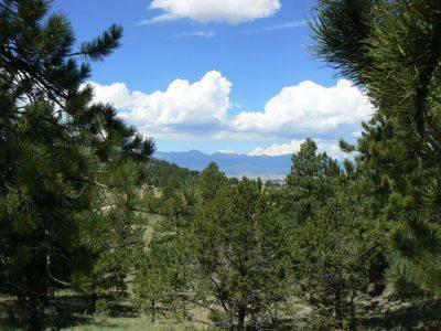 $39,450
Sliver Cliff Ranch View Lot