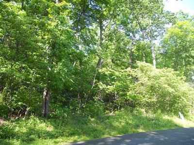 $39,500
Desirable wooded building parcel....