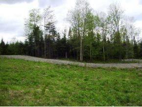 $39,500
Lot w 228' on town maintained road, direct trail access(460 Hill)