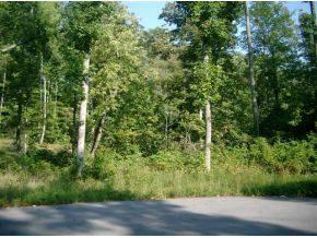 $39,900
Beautiful, level, wooded lot is ready to build your perfect dream home.