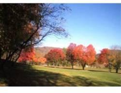 $39,900
Golf Course Lot with Mountain View and Overlooks 2 Fairways!