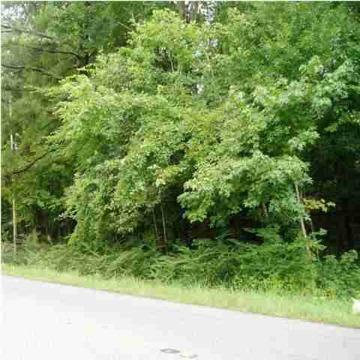 $39,900
Moncks Corner, **Wooded Lot Close to Airport** **Great Site