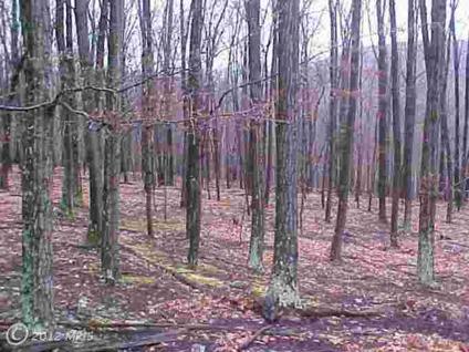 $39,900
New Creek, Nice wooded lot with several building sites.Long