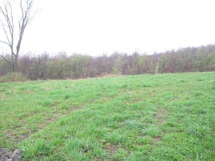 $39,900
Schuyler, Superb 25 acre lot with building site at the road