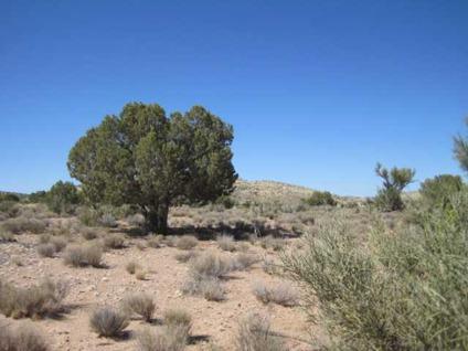 $39,900
This is a choice lot in the Cedar Hills Ranches. 38.45 acres with trees and