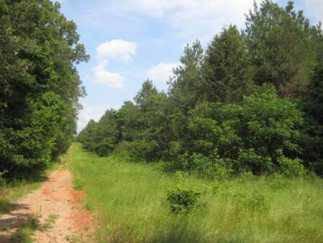 $3,745,000
629 acres of land for sale in Plain Dealing, Louisiana, United States