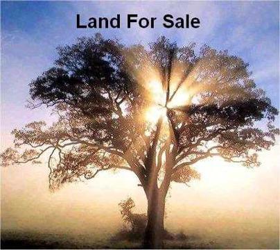 $400,000
This 40 Acre Tract can be developed as a subdivision or used as farm land.