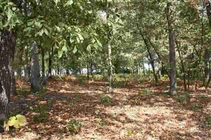 $406,000
Tyler, 5 flat waterfront lots on Bellview Circle.