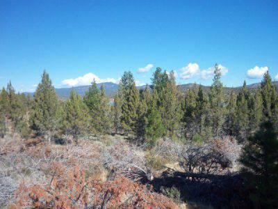 $40,000
Building lot in the pines with lake view